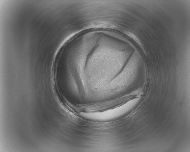 X0000066491120200604072208