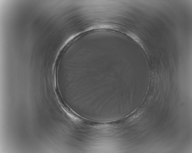 X0000066491127200604072208