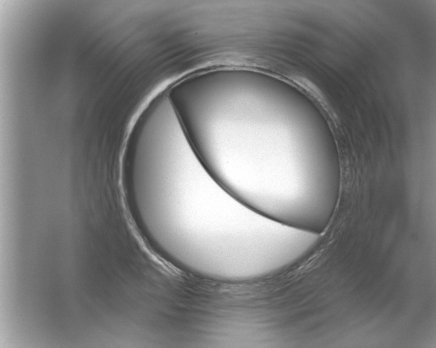 X0000066491128200604072208