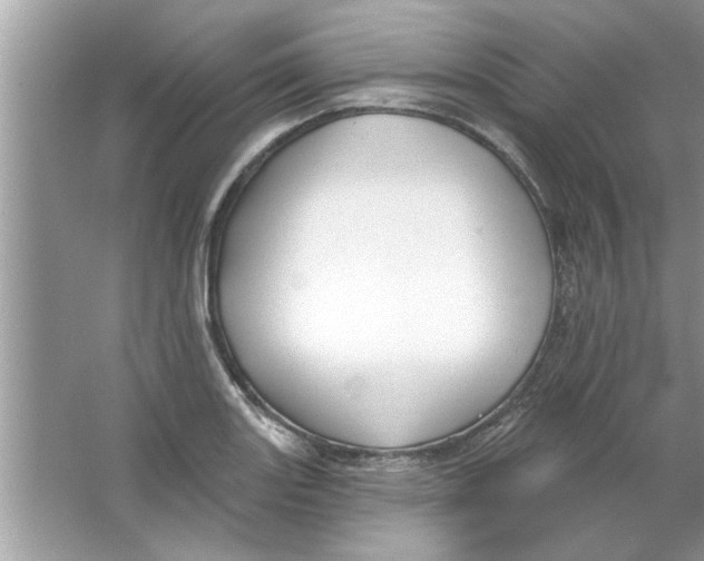 X0000066491131200604072208