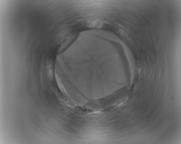 X0000066491154200604072207