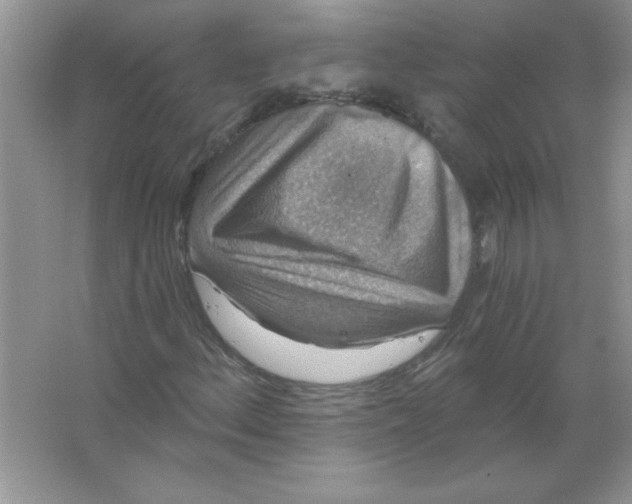 X0000066491156200604072207
