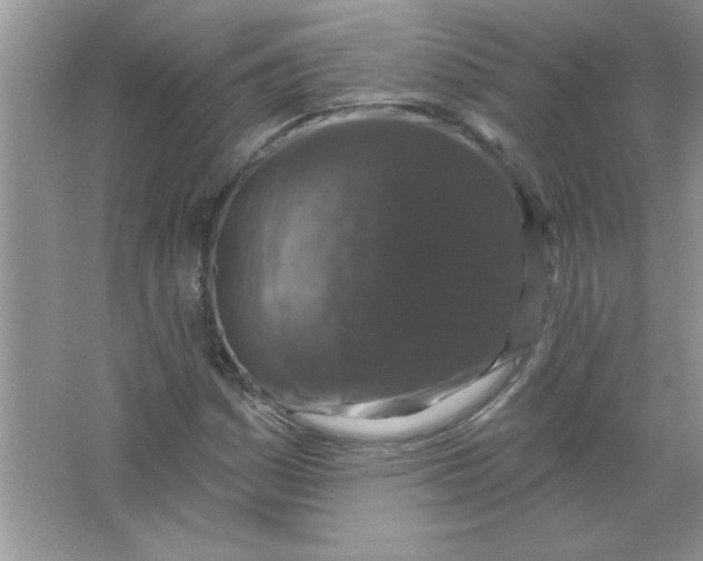 X0000066491161200604072207