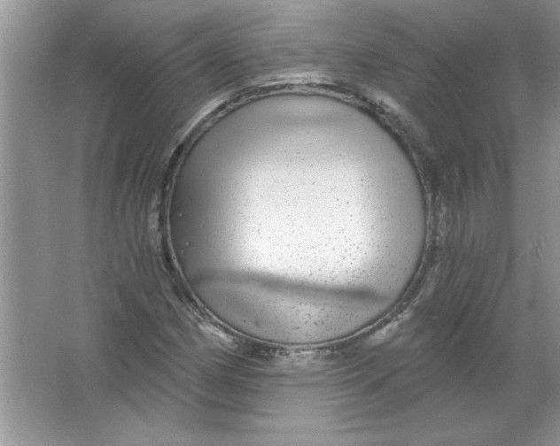 X0000066491162200604072207