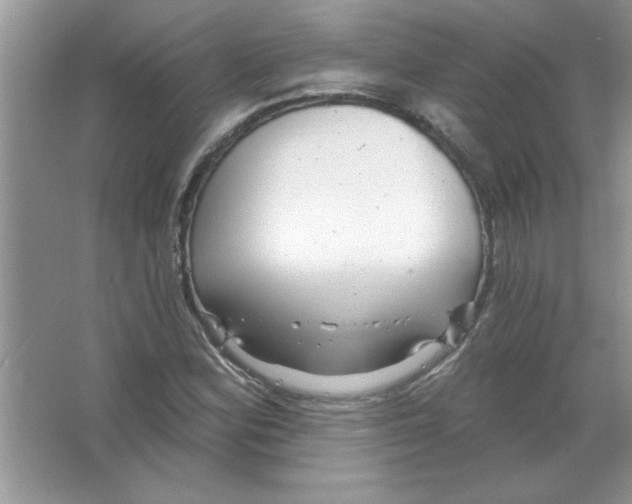 X0000066491164200604072207