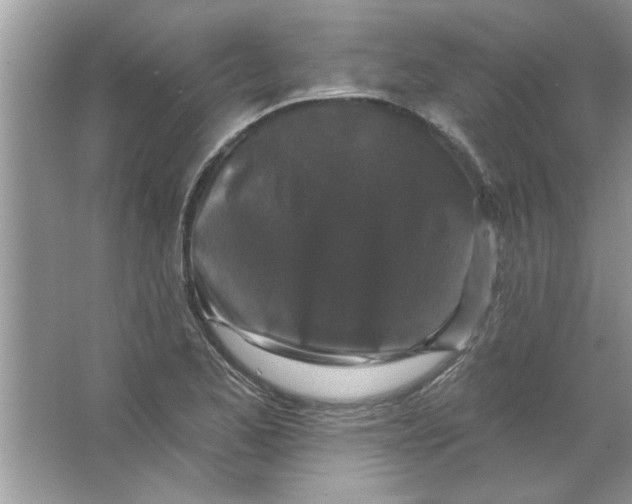 X0000066491173200604072207