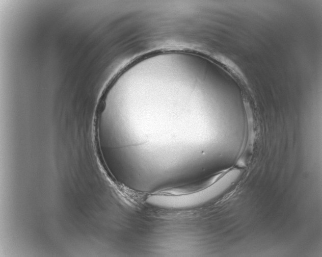 X0000066491183200604072207