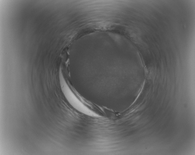 X0000066491202200604072206