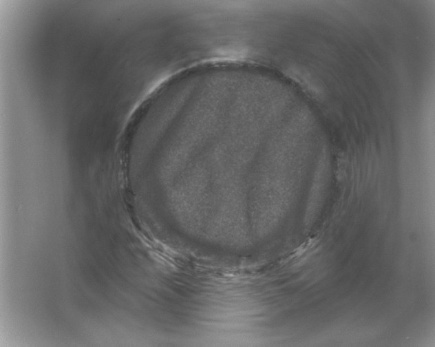 X0000066491208200604072206