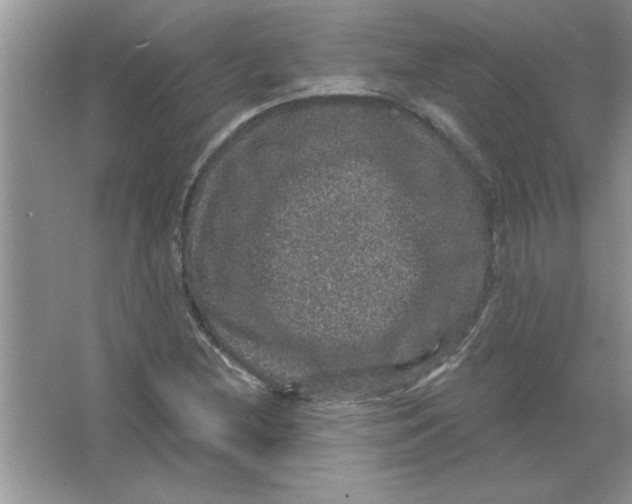 X0000066491212200604072206