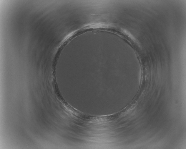 X0000066491213200604072206