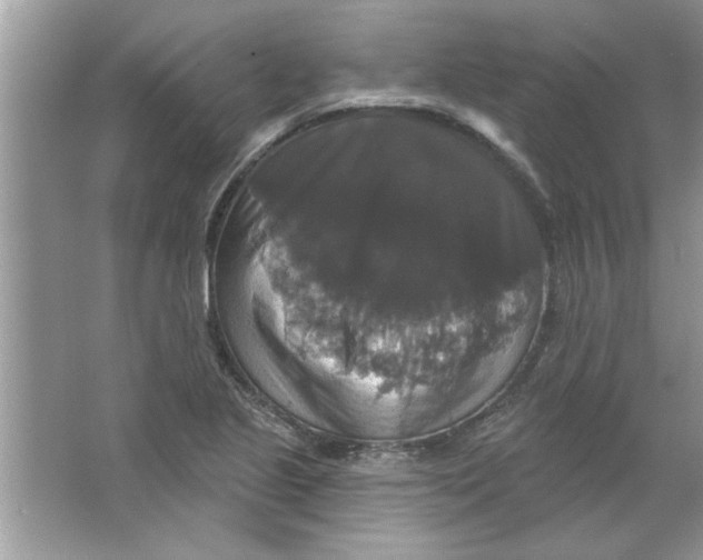X0000066491221200604072206