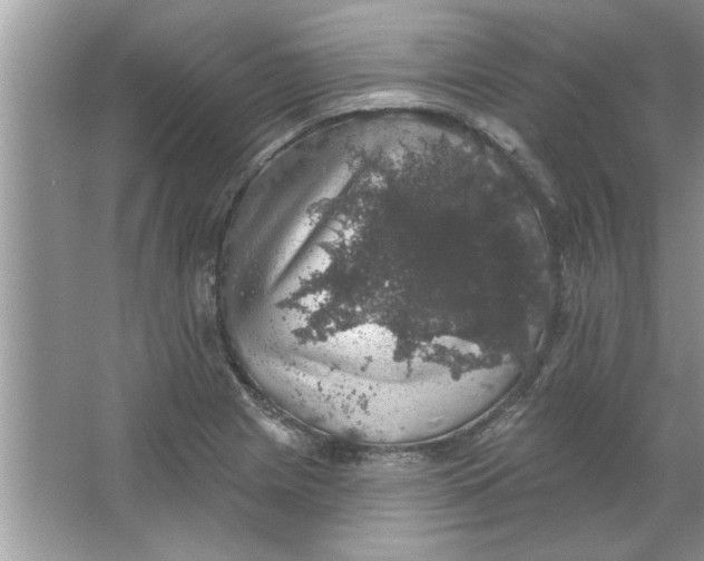 X0000066491225200604072206