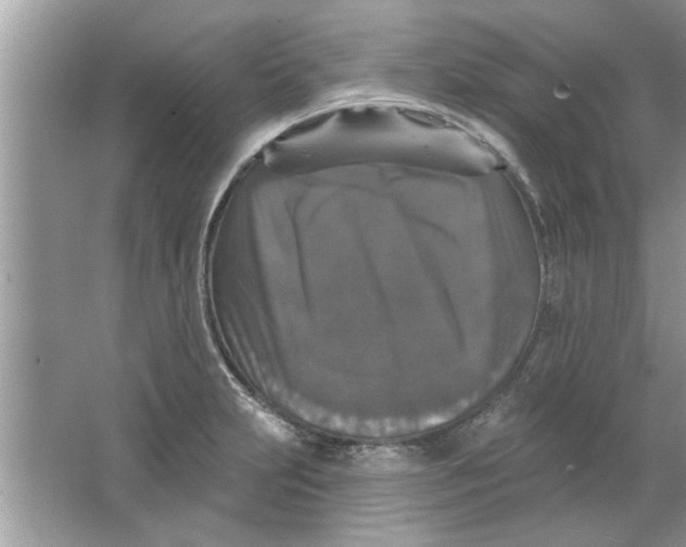X0000066491231200604072206