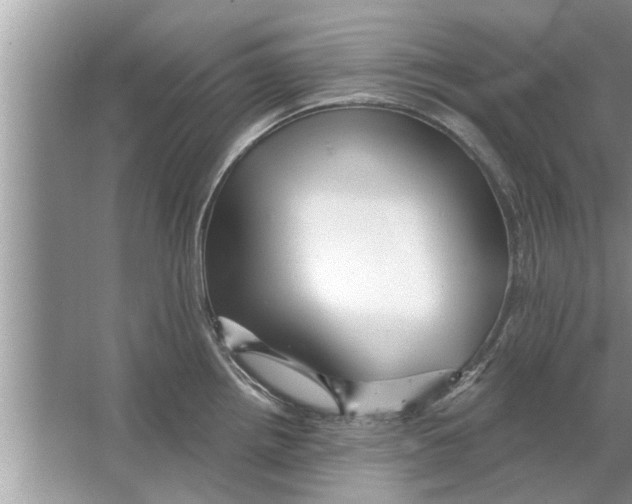 X0000066491242200604072207