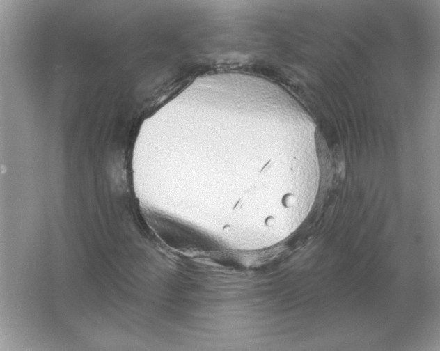 X0000066491252200604072206