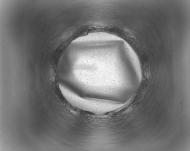 X0000066491253200604072206