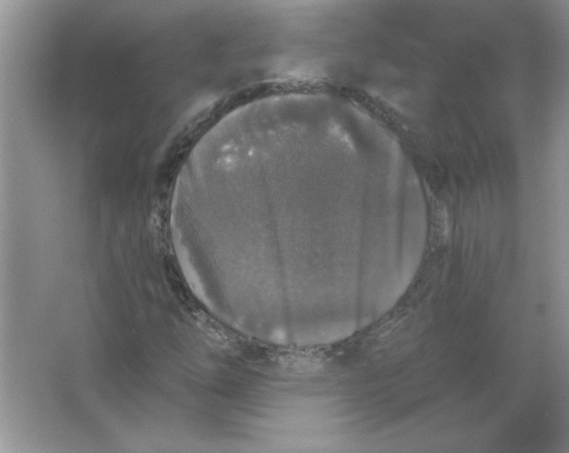 X0000066491254200604072206