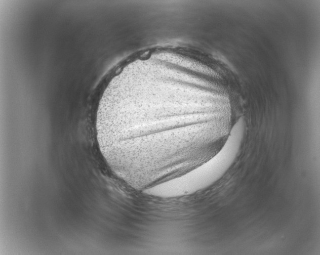 X0000066491256200604072206