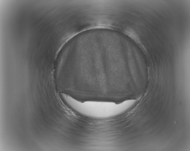 X0000066491260200604072206