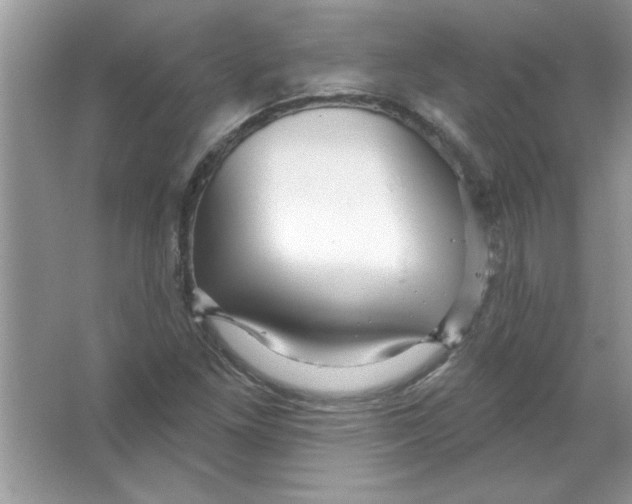 X0000066491261200604072206