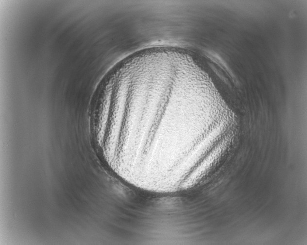 X0000066491268200604072206