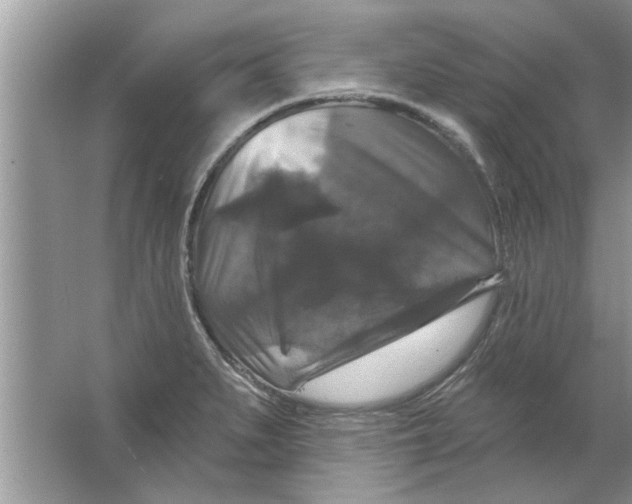X0000066491279200604072205