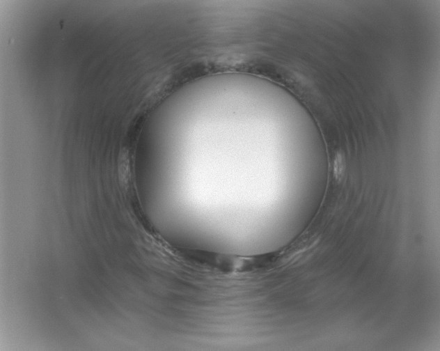 X0000066491299200604072204