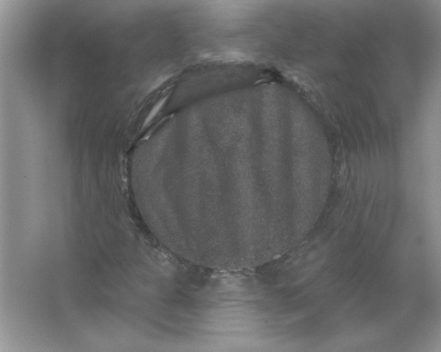 X0000066491301200604072204