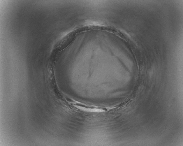 X0000066491303200604072204