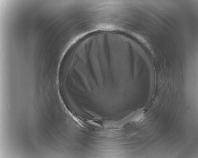 X0000066491327200604072205