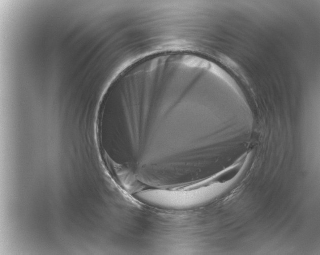 X0000066491334200604072205