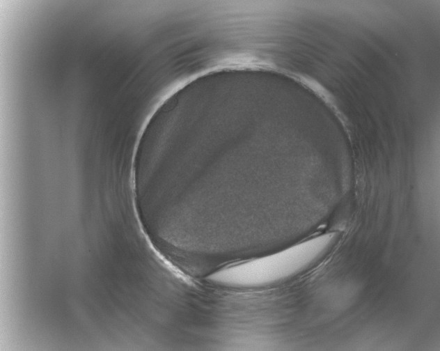 X0000066491335200604072205