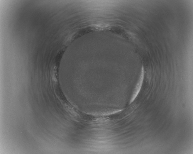 X0000066491346200604072204