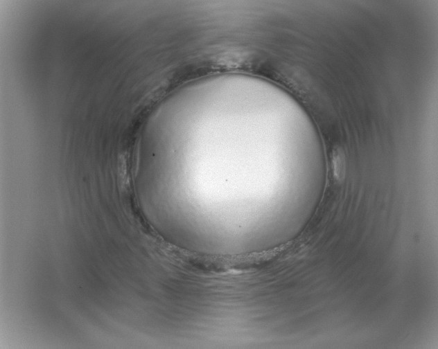 X0000066491347200604072204