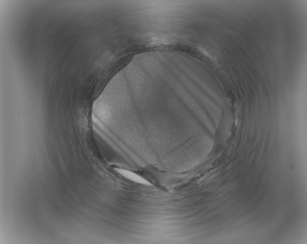 X0000066491348200604072204