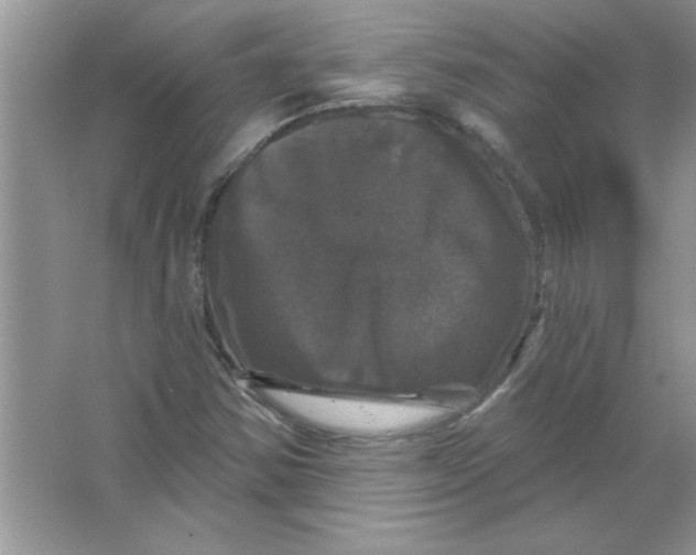 X0000066491354200604072204