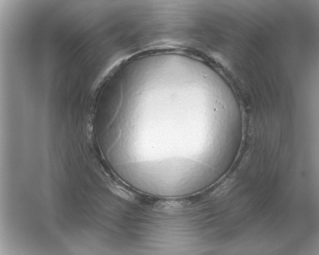 X0000066491355200604072204