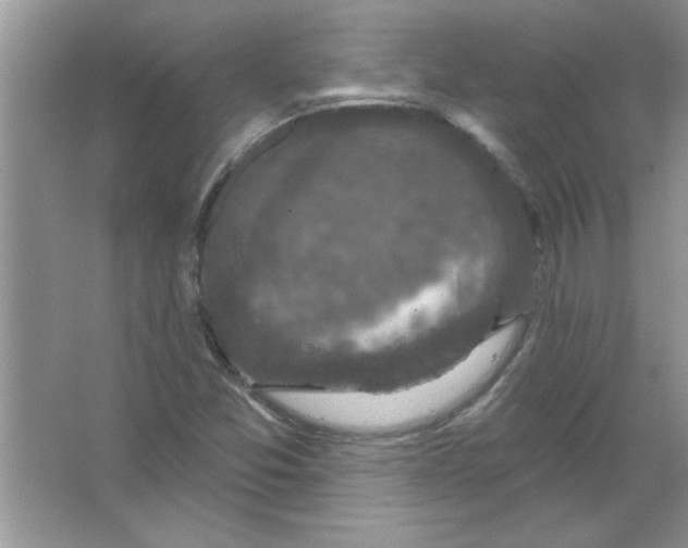 X0000066491357200604072204