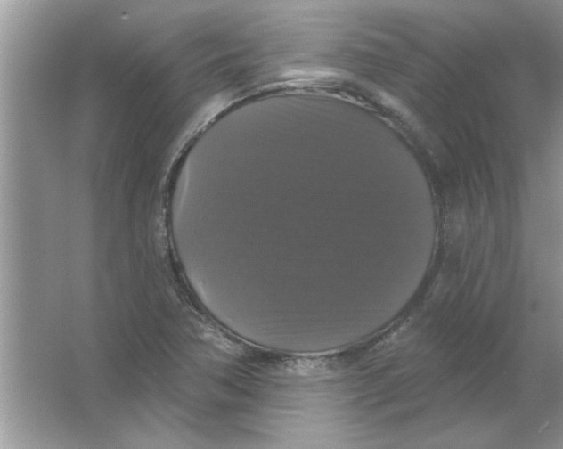 X0000066491362200604072204