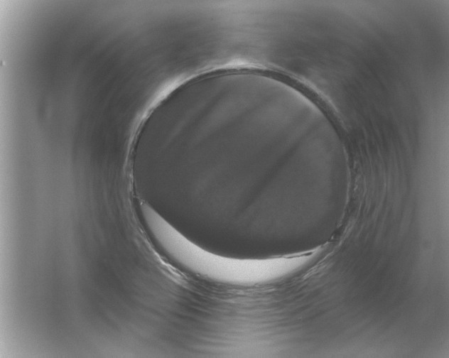 X0000066491367200604072204