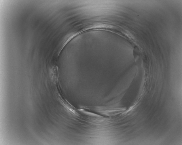 X0000066491369200604072204