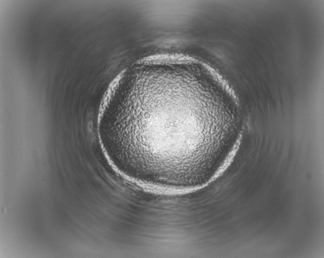 X0000066491396200604072203
