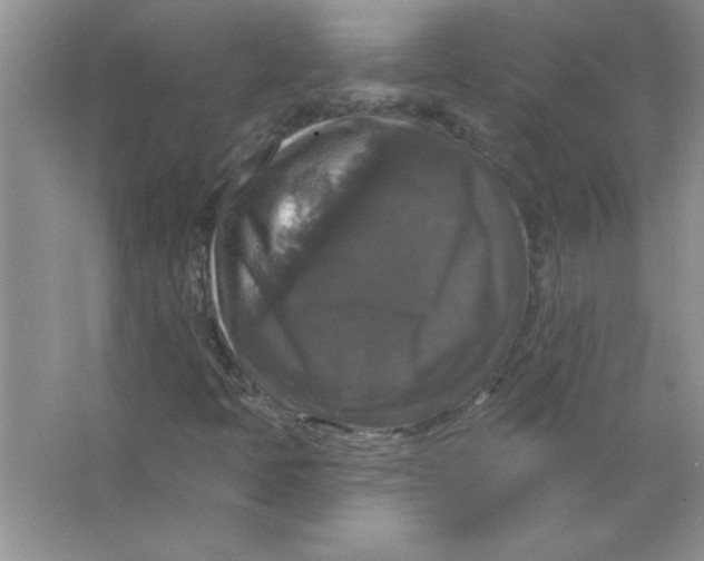X0000066491397200604072203