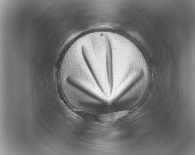 X0000066491404200604072203