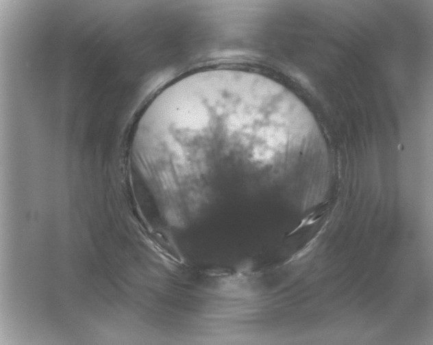 X0000066491405200604072203