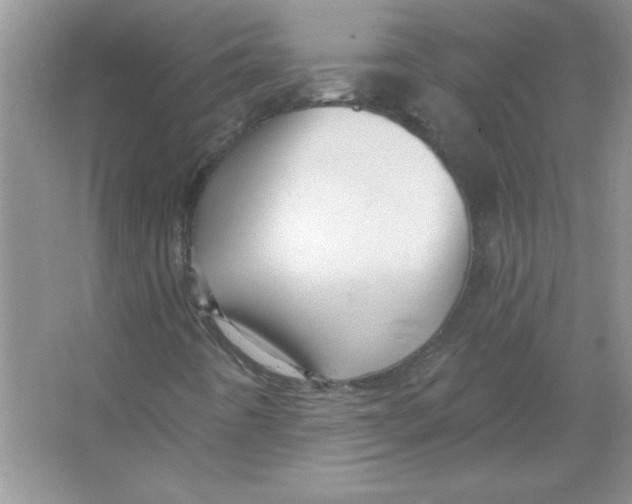X0000066491442200604072203
