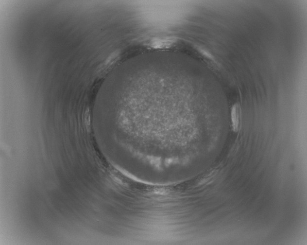 X0000066491443200604072203