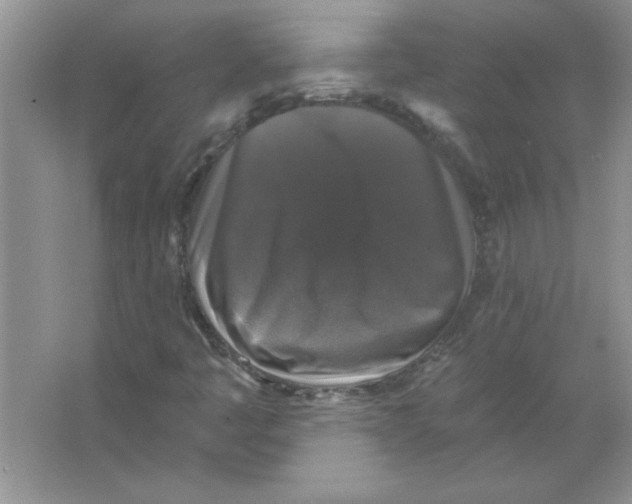 X0000066491445200604072202