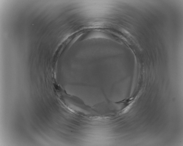 X0000066491449200604072202